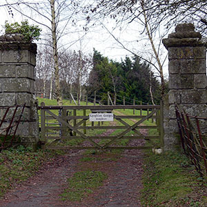 Image representing the Knighton Gorges